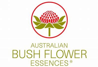 Image result for flores de bush